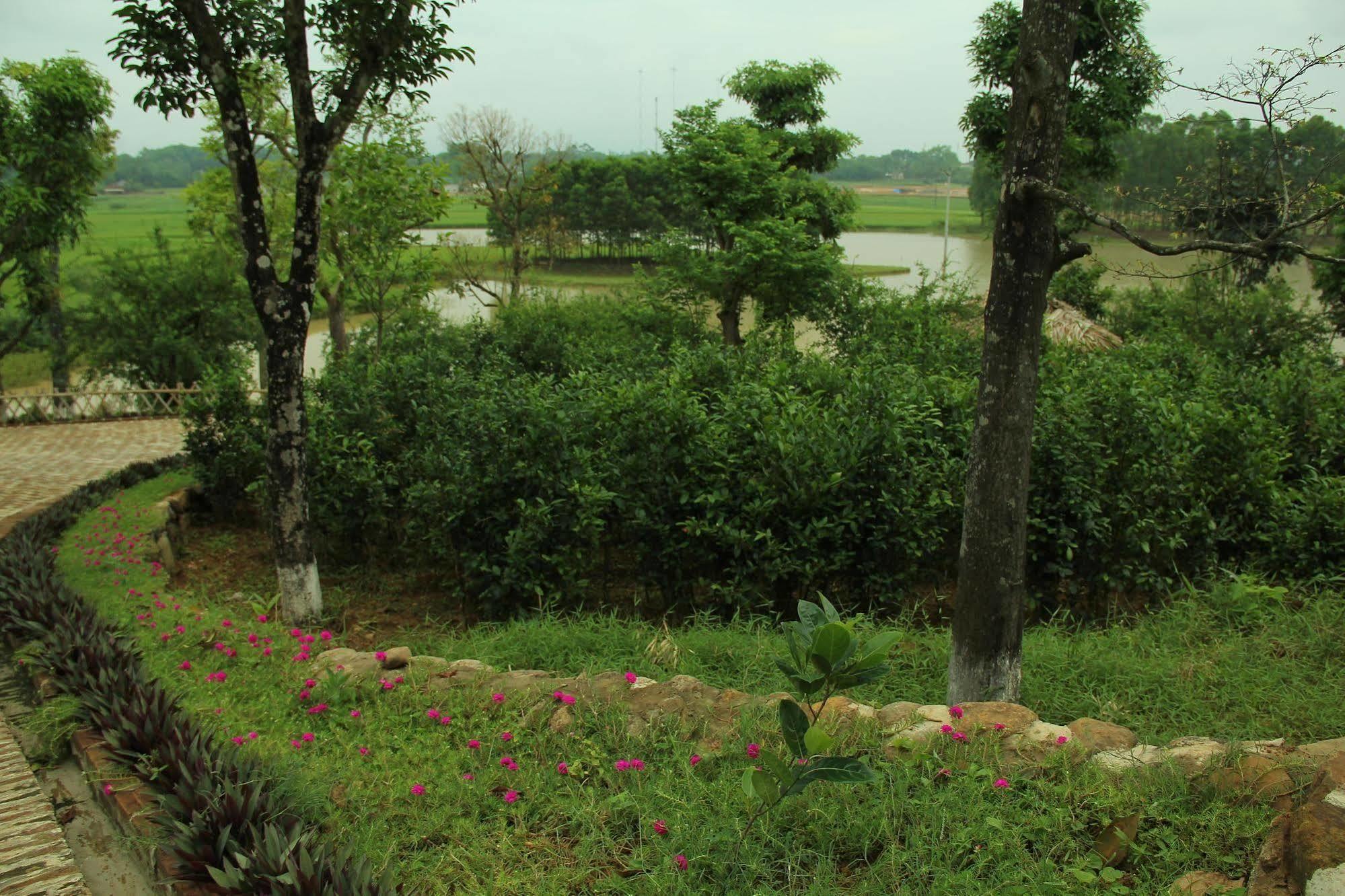 Moon Garden Homestay Son Tay Eksteriør bilde